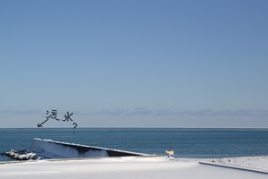 DSC_3381