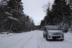 DSC_3375