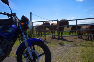 2015-09-07 007