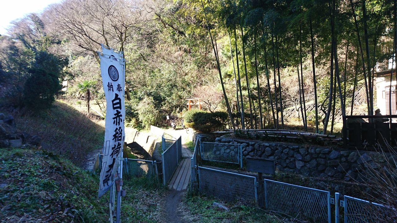 白赤稲荷 ここは冥界への入り口か In Yokosuka ウィペットチェリーと旅人チェリパパ記念館 白赤稲荷 ここは冥界への入り口か In Yokosuka ウィペットチェリーと旅人チェリパパ記念館