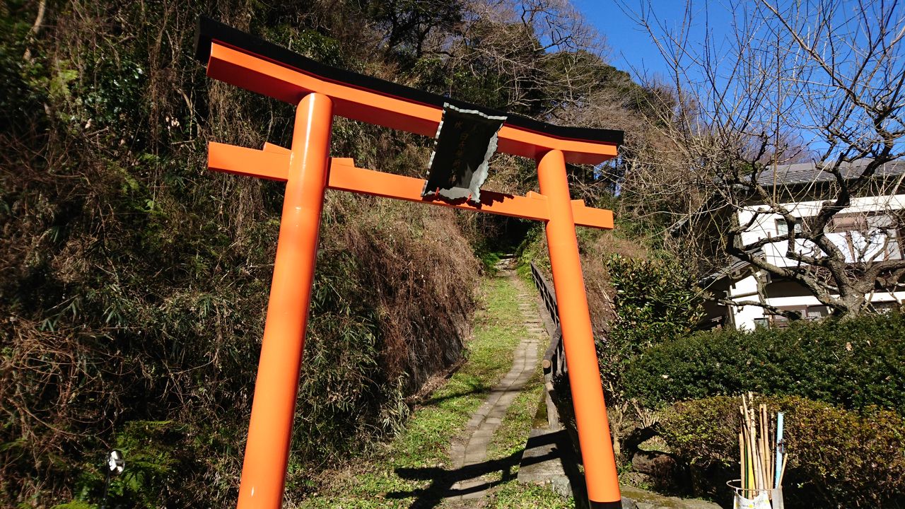 白赤稲荷 ここは冥界への入り口か In Yokosuka ウィペットチェリーと旅人チェリパパ記念館 白赤稲荷 ここは冥界への入り口か In Yokosuka ウィペットチェリーと旅人チェリパパ記念館