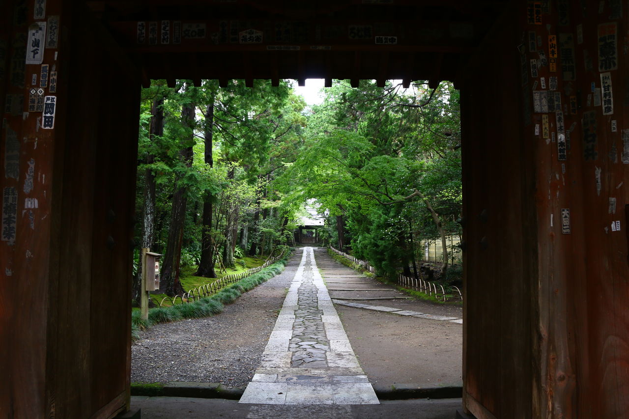 寿福寺参道 旅人かおるの写真blog 寿福寺参道 旅人かおるの写真blog