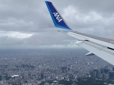 大阪伊丹東京羽田NH30IMG_8263