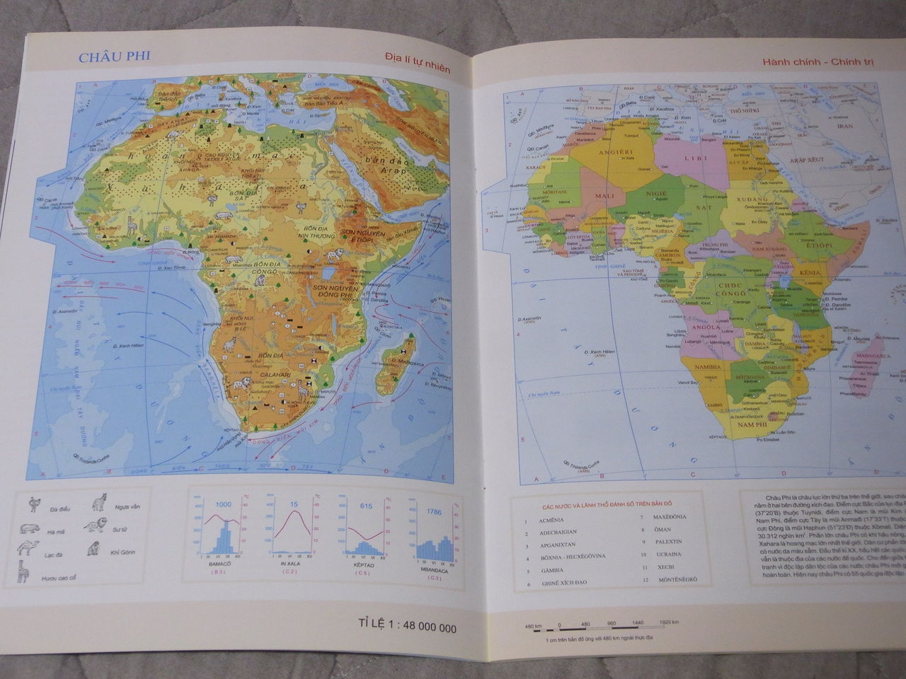 ベトナムの地図帳 その2 旅人の木 荻窪 油そば まぜそばの店 店主の日記 ベトナムの地図帳 その2 旅人の木 荻窪 油そば まぜそばの店 店主の日記