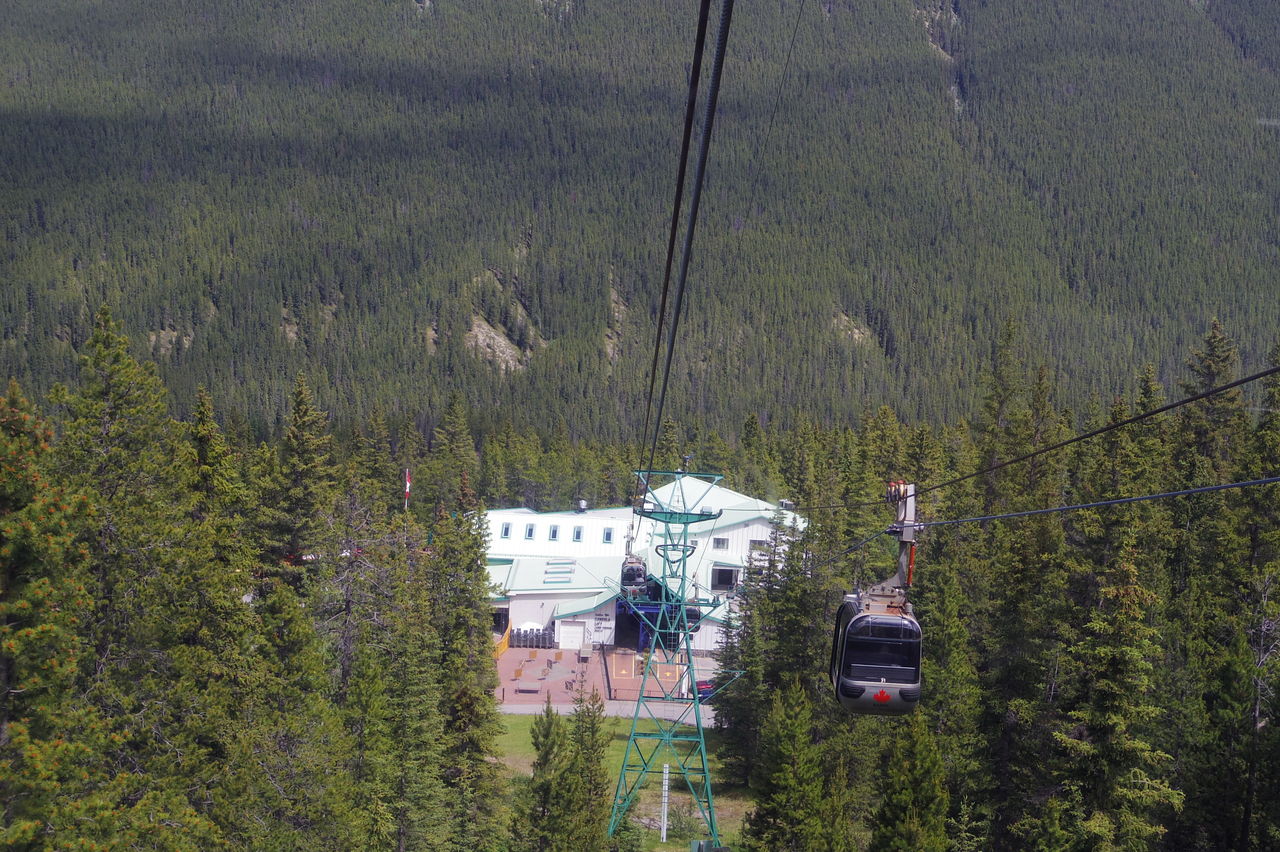絶景の宝庫カナディアンロッキー 1 到着 バンフゴンドラ バンフ カナダ の旅行記 ブログ By Harunohanaさん フォートラベル