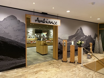 SUNSTARGRINDELWALD(サンスターホテルグリンデルワルト)Ambiance