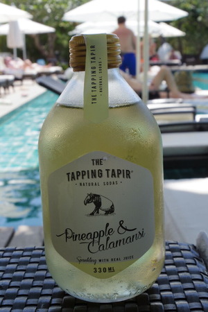 THETAPPINGTAPIRIMGP5969