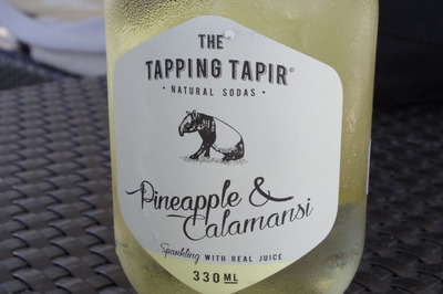 THETAPPINGTAPIRIMGP5971