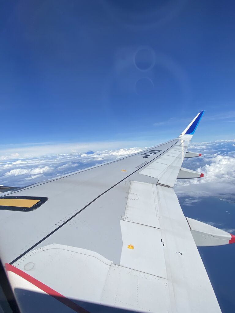 ana nh281便 で羽田から徳島阿波おどり空港へ 旅人の木 荻窪 油そば まぜそばの店 店主の日記 ana nh281便 で羽田から徳島阿波おどり空港へ 旅人の木 荻窪 油そば まぜそばの店 店主の日記