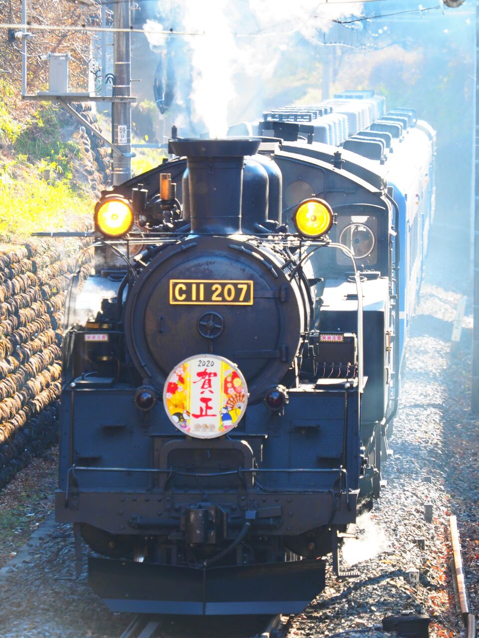 1月2日sl大樹撮影 旅人症候群