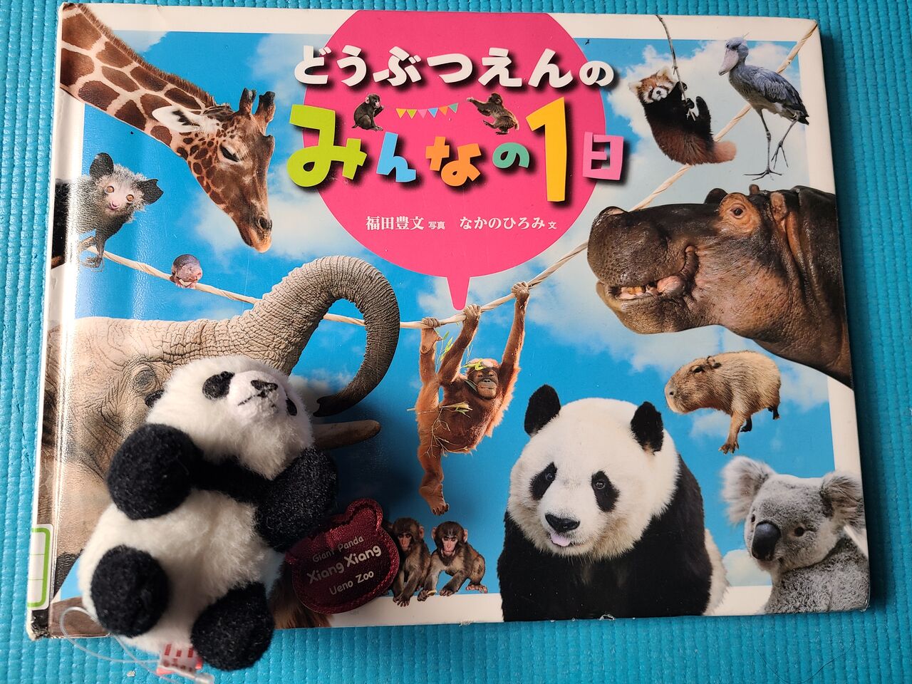どうぶつえんのみんなの1日