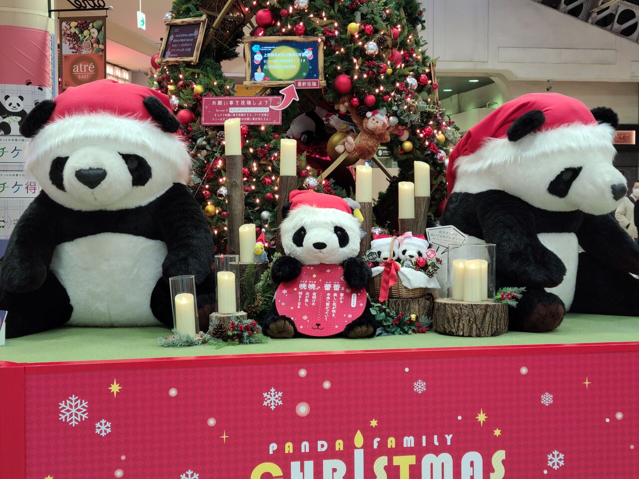 Jr上野駅は上野パンダ一家を始め 東京都にいる動物たち 魚たちがいっぱい Taekoログ旅色スタイル Jr上野駅は上野パンダ一家を始め 東京都にいる動物たち 魚たちがいっぱい Taekoログ旅色スタイル