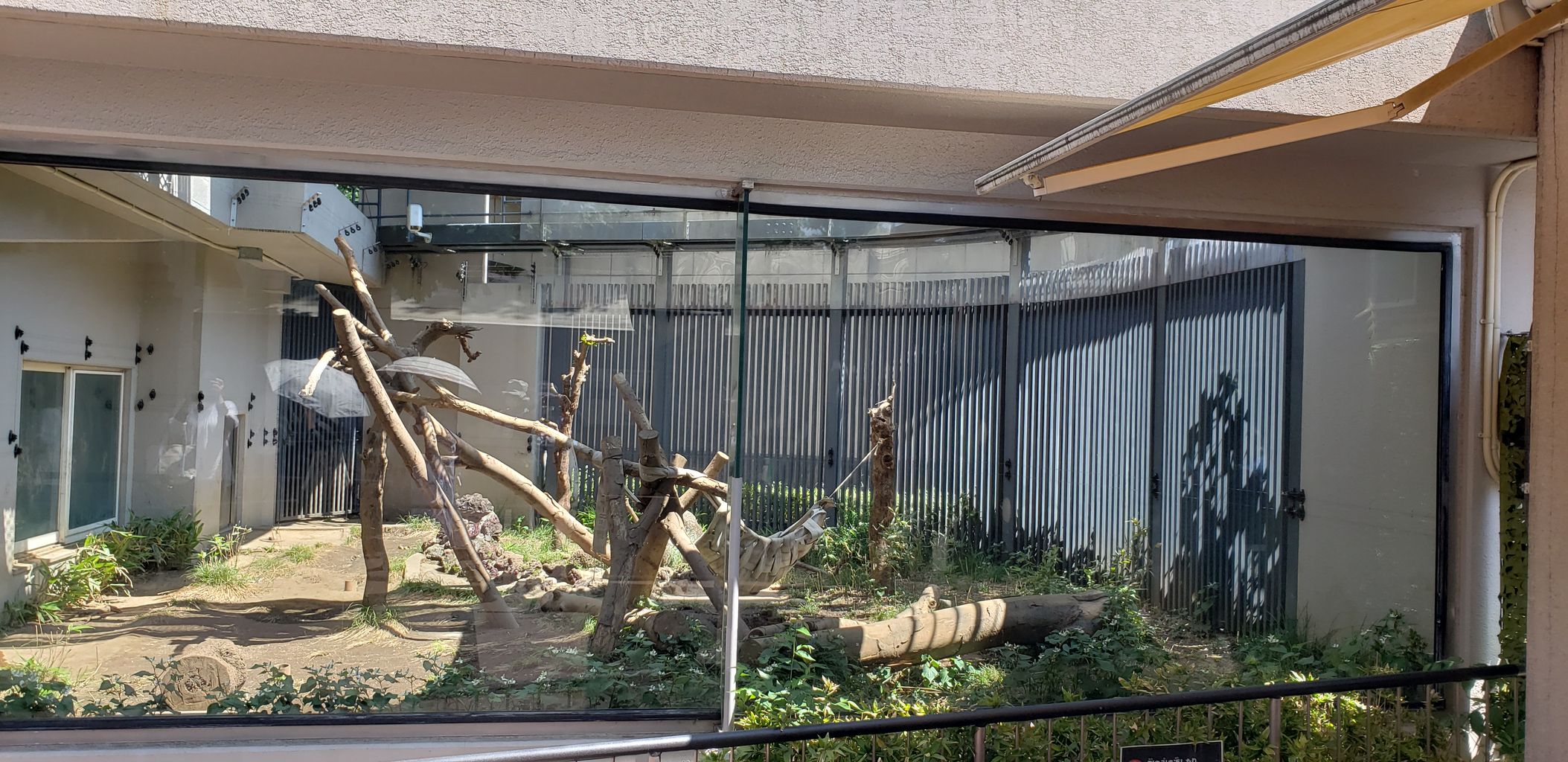 上野動物園パンダ舎「飼育員さん編」 ～TAEKOログ旅色スタイル～