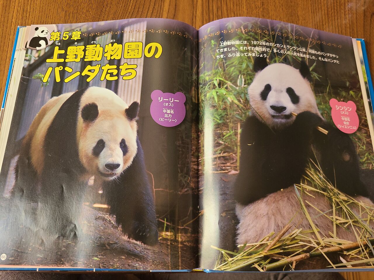 パンダもの知り図鑑 を読ませて頂きました Taekoログ旅色スタイル