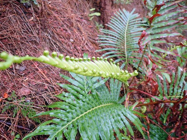 P3150019