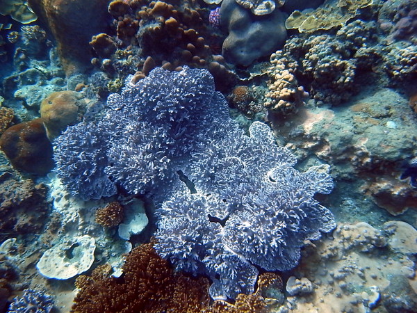20121101 017
