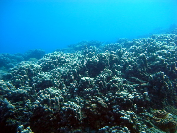 20121101 014