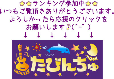 にほんブログ村離島情報へ