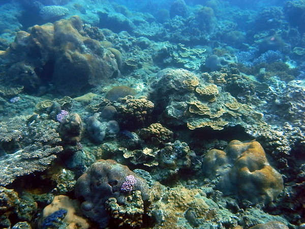 20121101 016