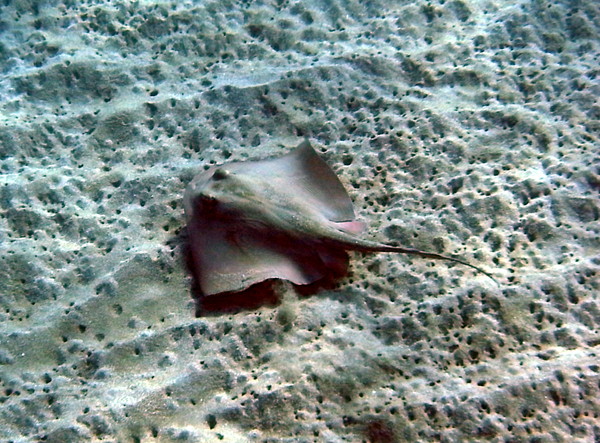 20121101 007