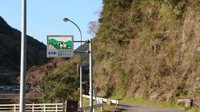 pics