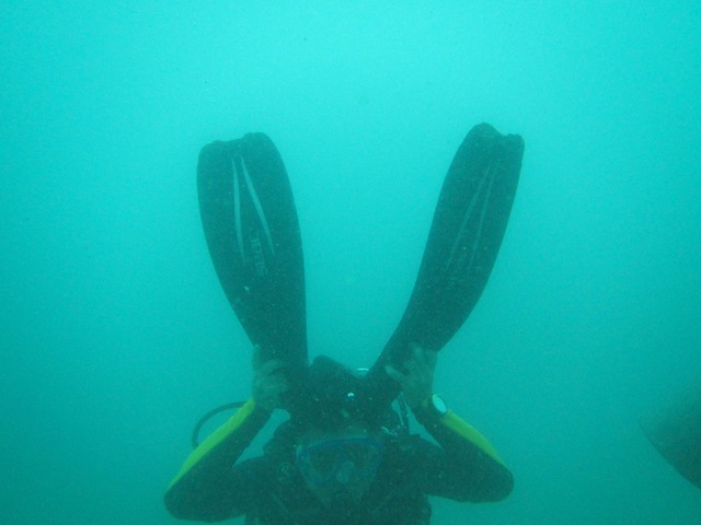 pics