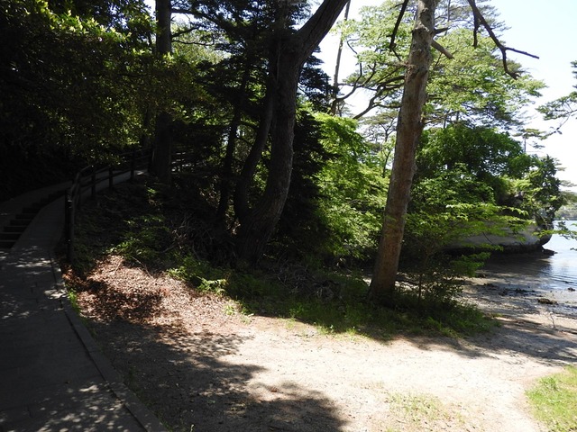 pics