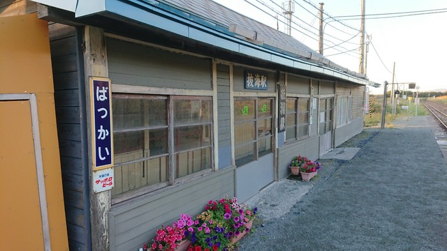 pics