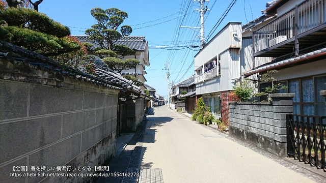 pics