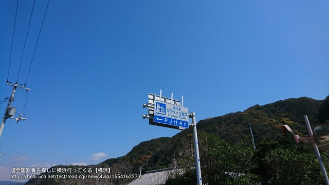 pics
