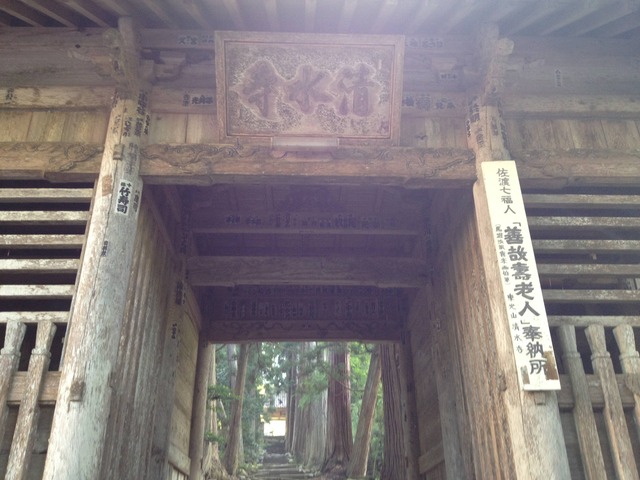 pics