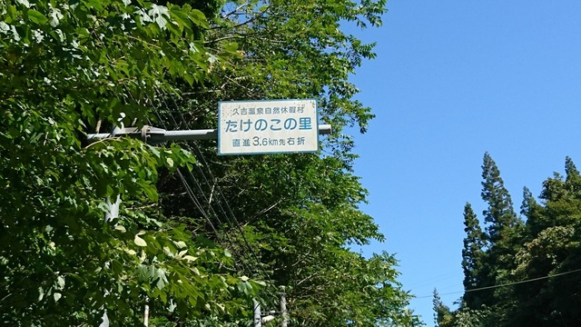 pics