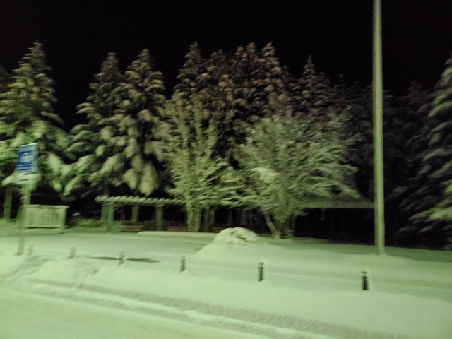 pics