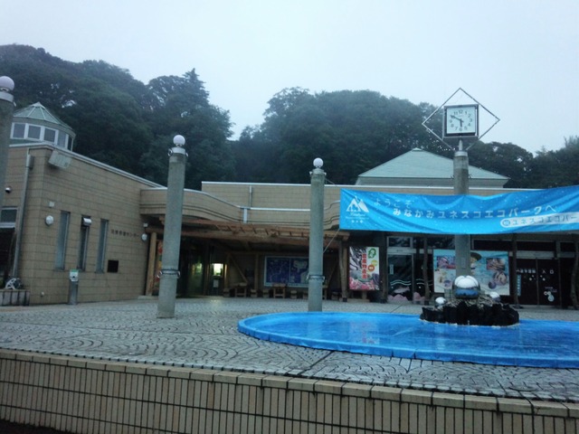 pics