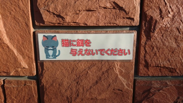 pics