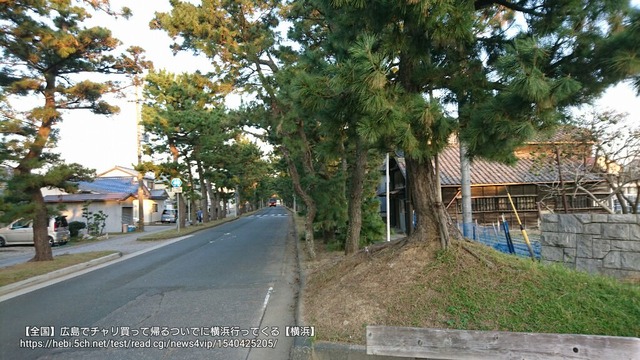 pics