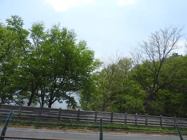 pics