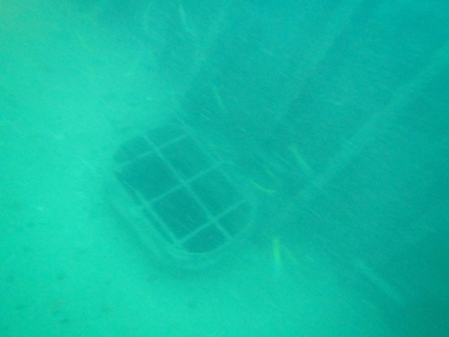 pics