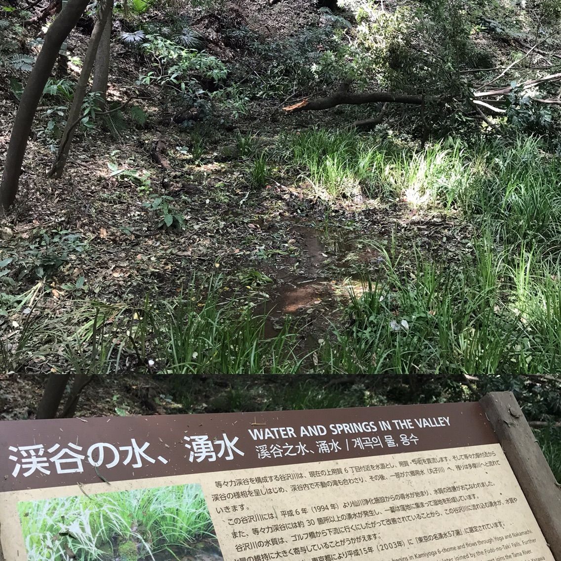 等々力渓谷と９通りの往生 浄真寺 九品仏 たびのおととか 旅の音と香