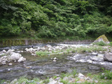 河鹿の湯(静岡県伊豆市湯ヶ島)
