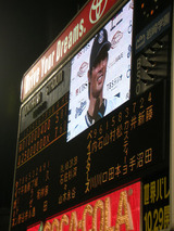 ���ͥ٥����������ߺ�������������ʲ��ͥ����������