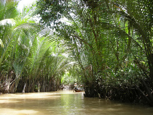 �ߥȡ��ᥳ����롼��