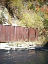 ���������������ڸ������ԡ�