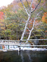 �̲��������ڸ����Į��