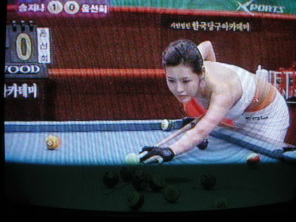 韓国のテレビ番組 旅は哲学ソクラテス