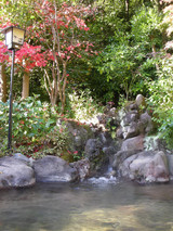 ��������ʸ��ڻ��ӻ���