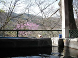 聖天様露天風呂(群馬県長野原町川原湯温泉)