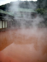 ������Ϲ�