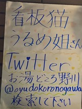 お湯どころ野川(東京都狛江市東野川)