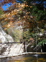 ���������������ڸ������ԡ�